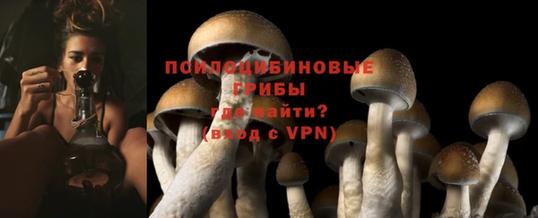 гашик Абдулино
