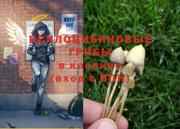 хмурый Нефтегорск