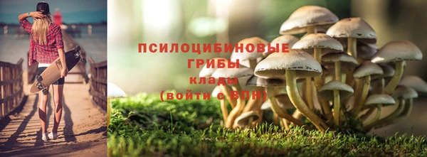 кокс Нея