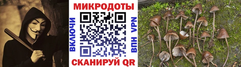 Псилоцибиновые грибы мицелий  кракен как войти  Торжок  дарнет шоп 