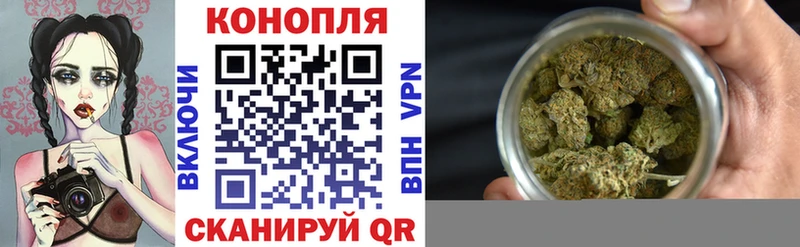Шишки марихуана OG Kush Торжок